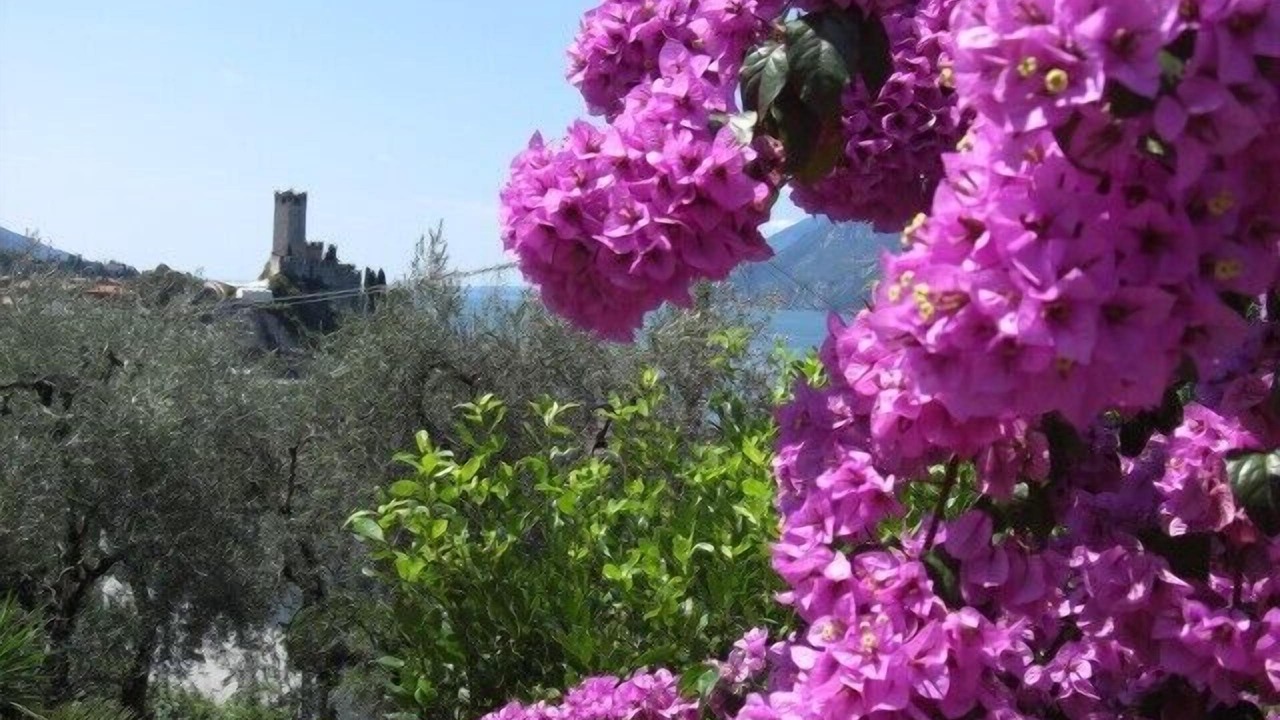 Photo of Outdoor in Malcesine Old Town