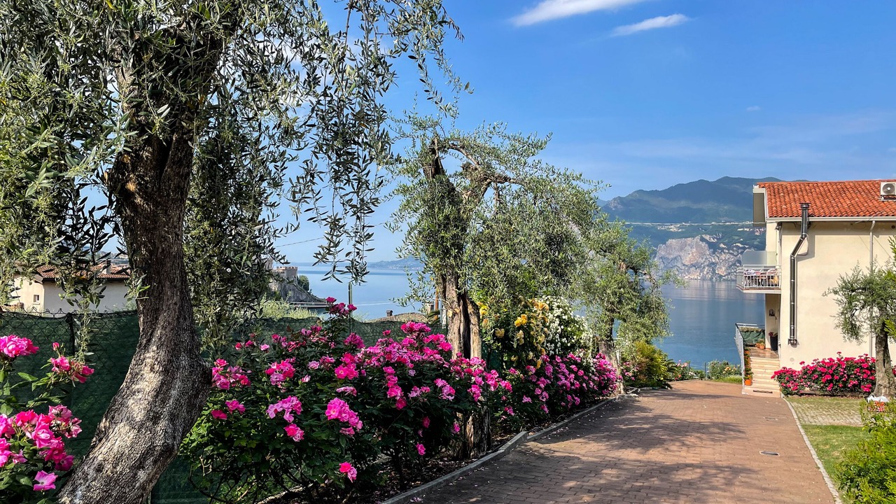 Photo of Outdoor in Malcesine Old Town