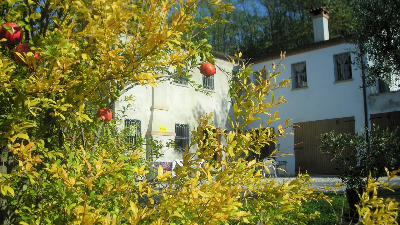 Photo of Outdoor in Cornoleda