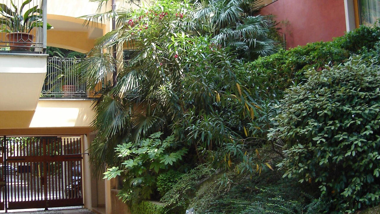 Photo of Outdoor in Malcesine