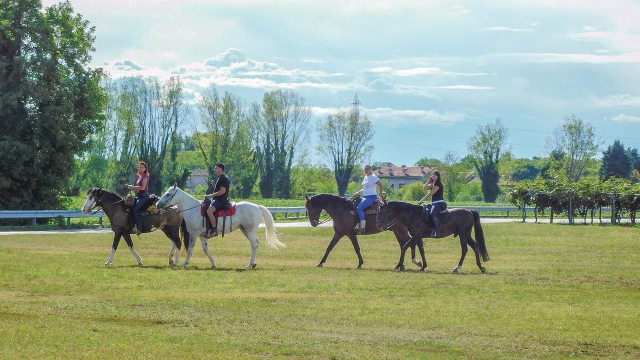 Photo of Others in Arcugnano
