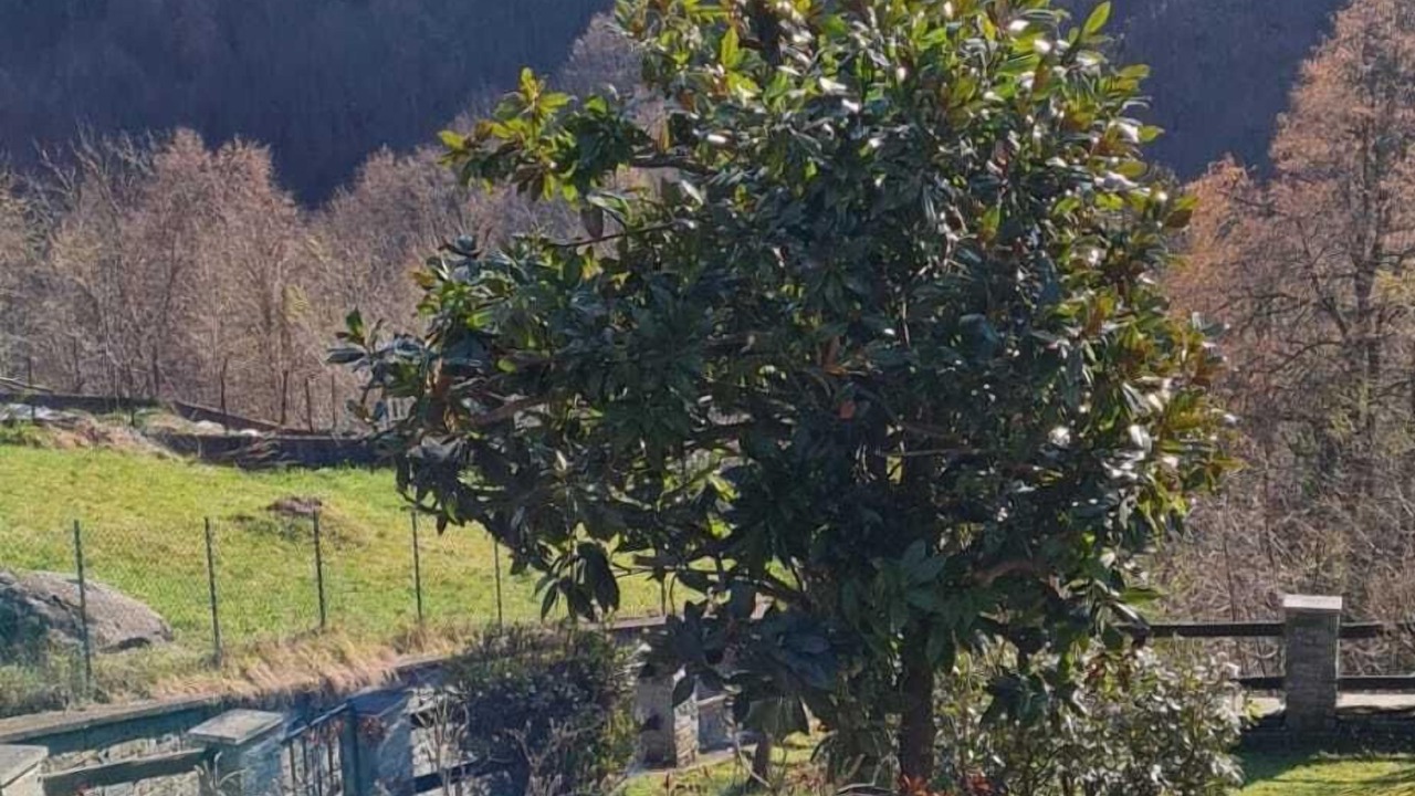 Photo of Outdoor in Molini