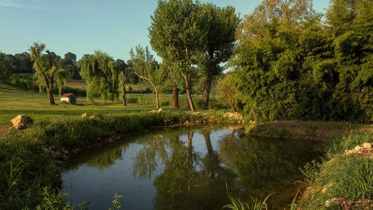 Photo of Others in Vicenza