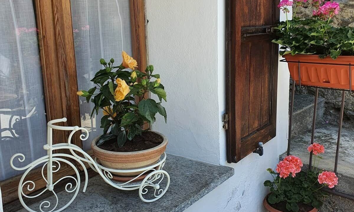 Photo of Outdoor in Calasca-Castiglione