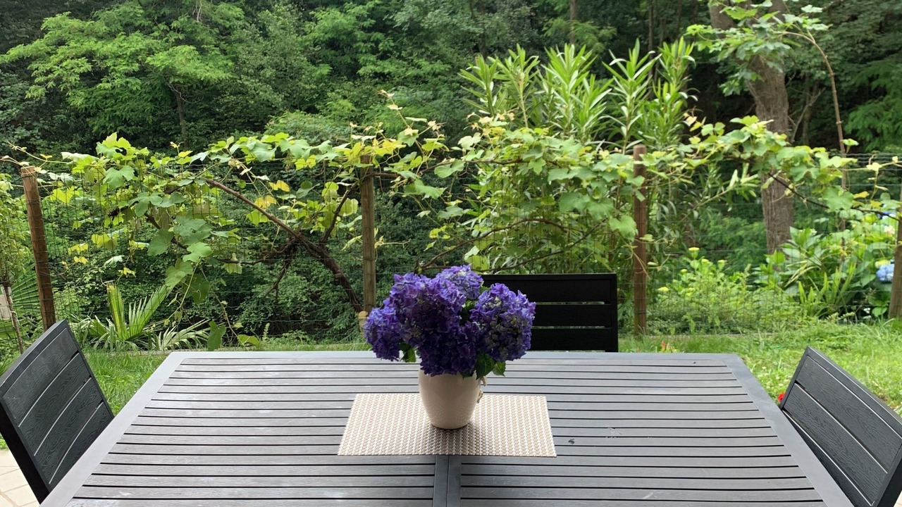Photo of Outdoor in Carciano