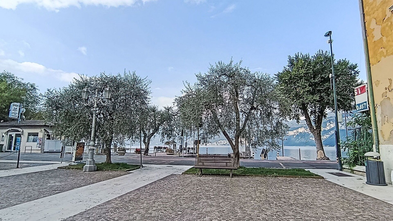 Photo of Others in Assenza