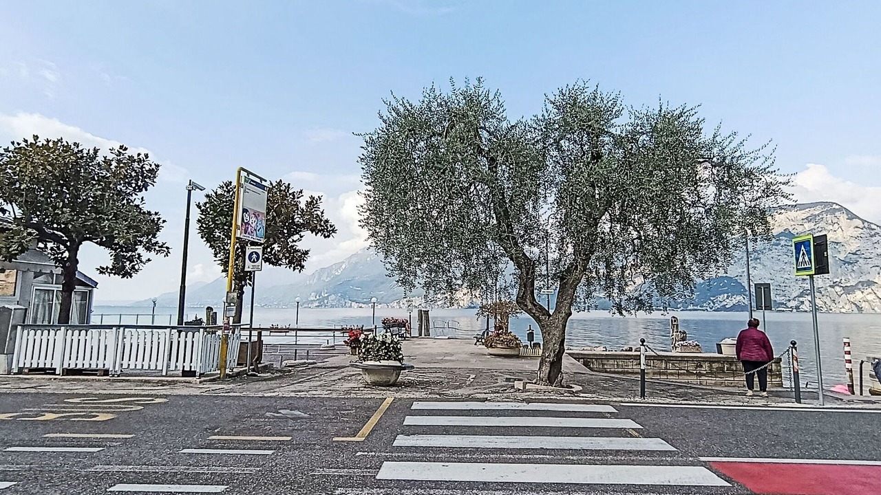 Photo of Others in Assenza