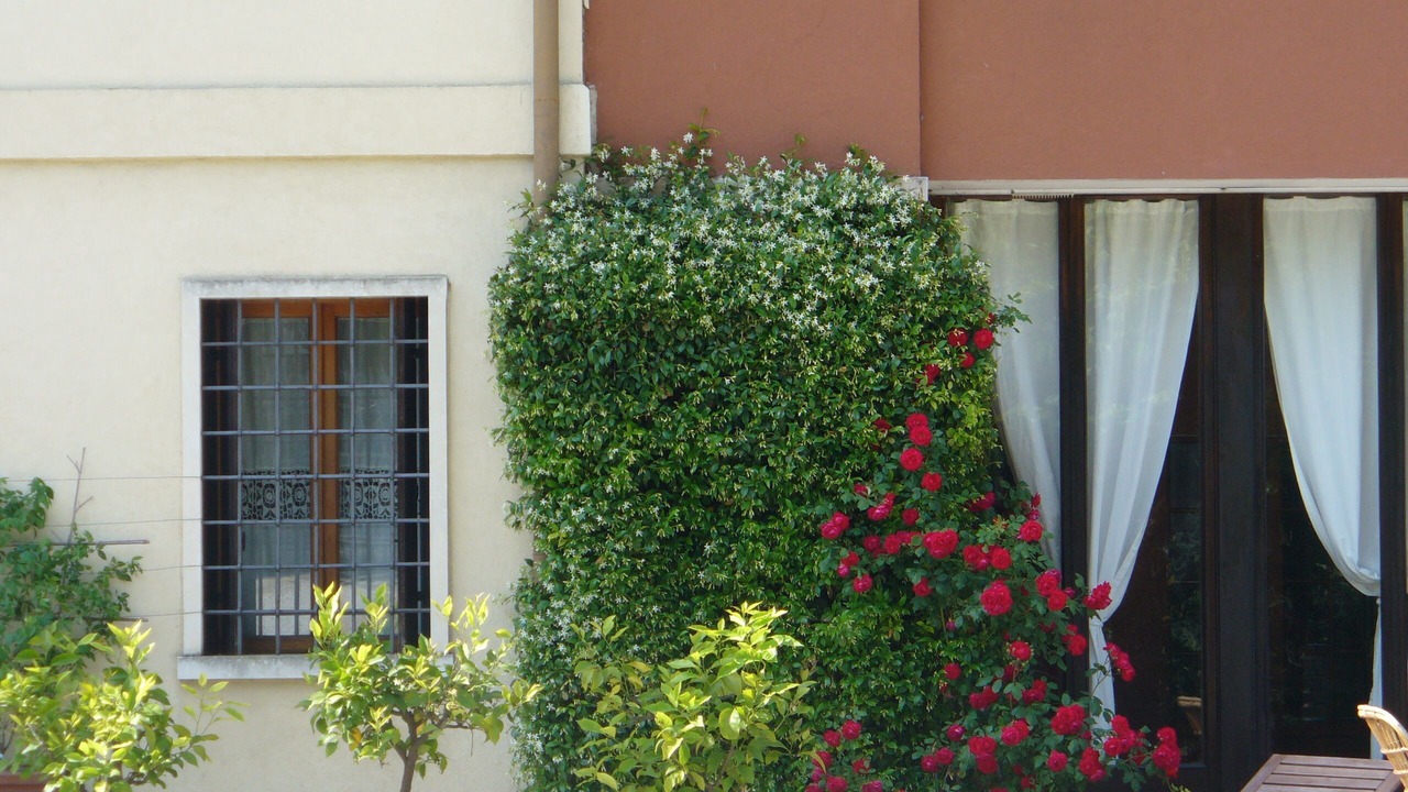 Photo of Outdoor in Arcugnano