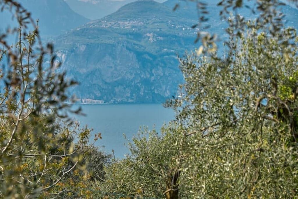 Photo of Others in Malcesine