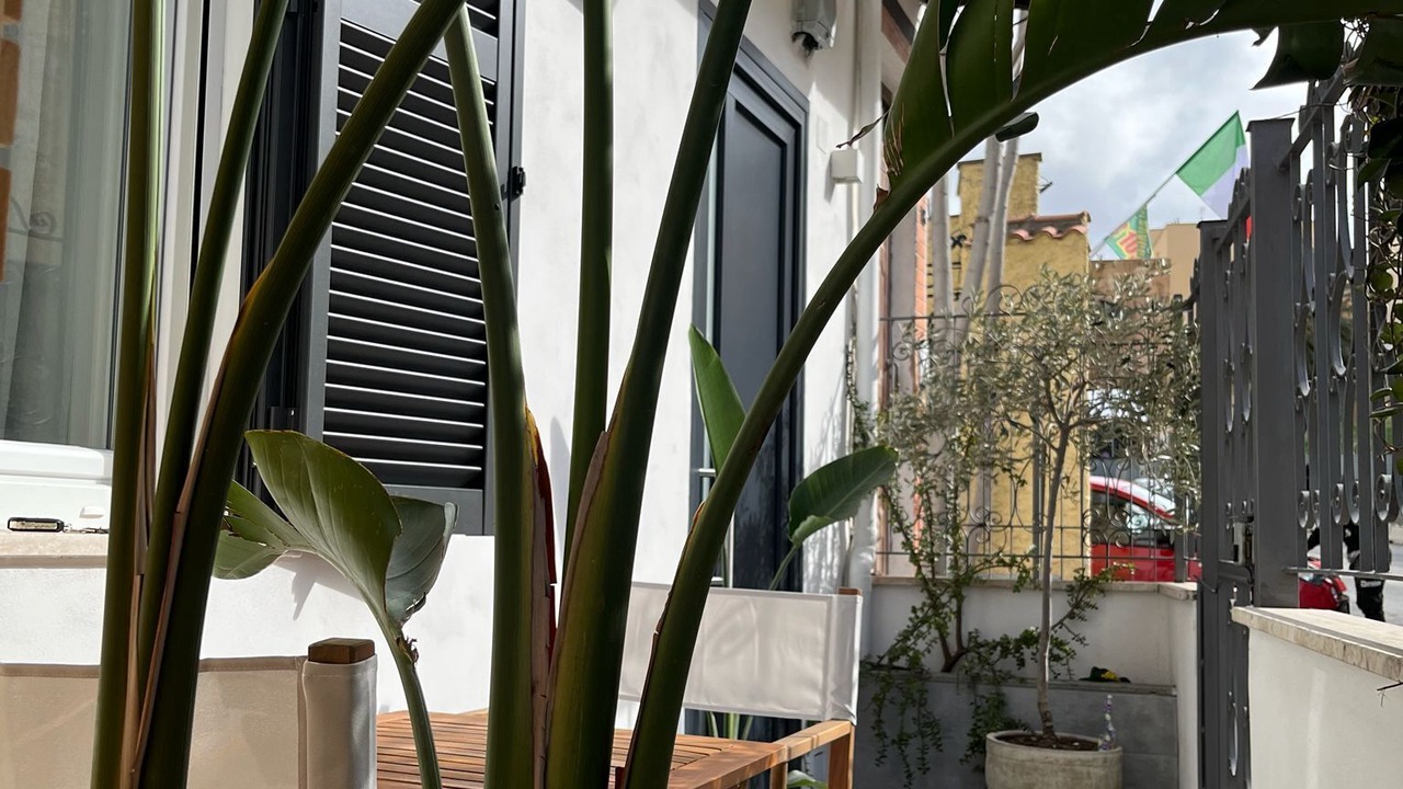 Photo of Outdoor in Civitavecchia