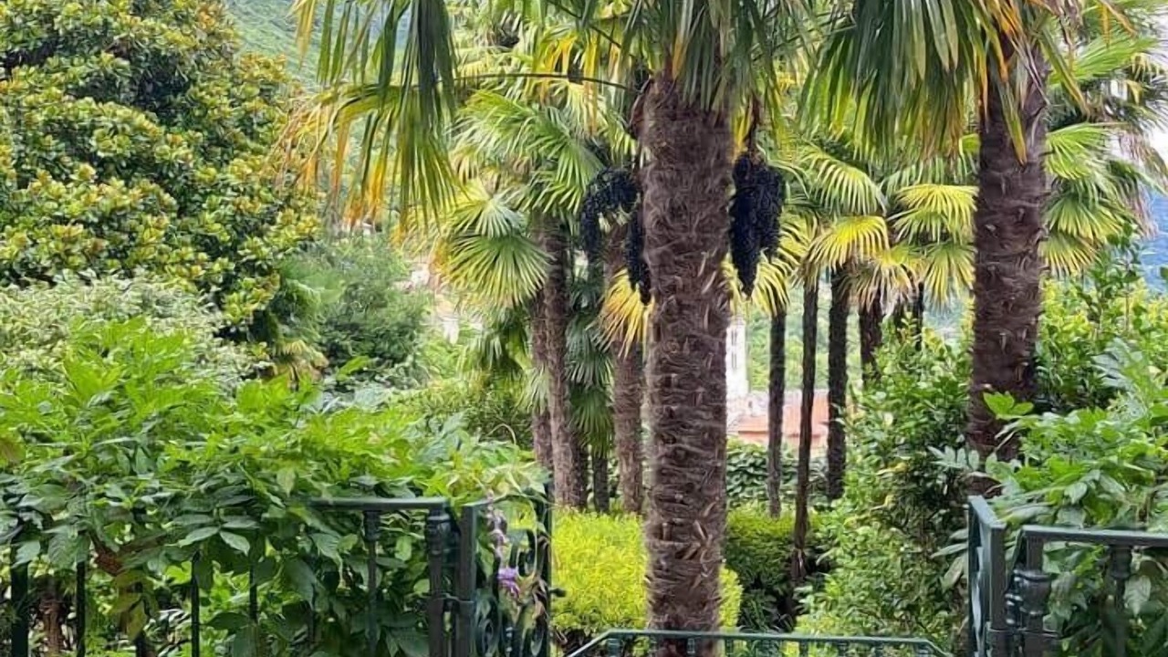 Photo of Outdoor in Oggebbio