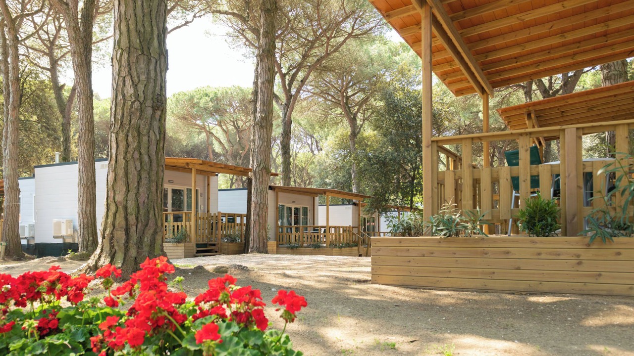 Photo of Others in Lido di Spina