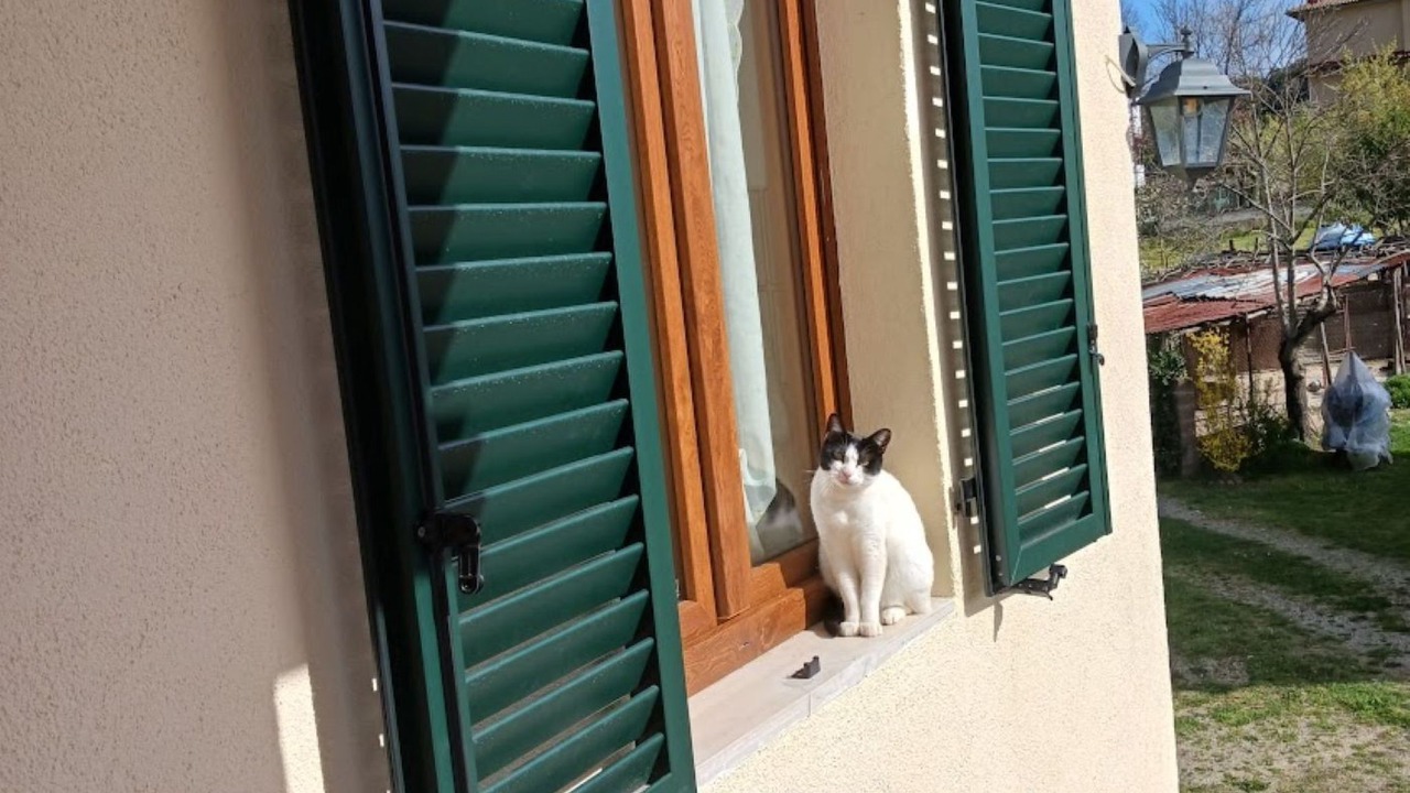 Photo of Others in Monticiano