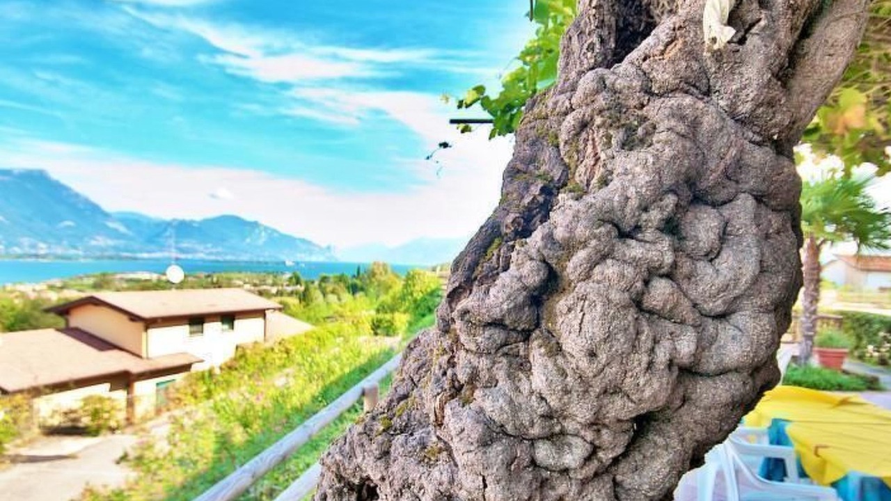 Photo of Others in Manerba del Garda