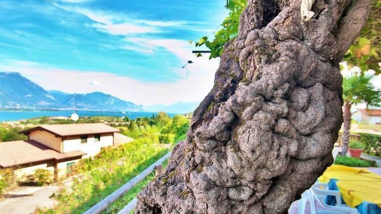 Photo of Others in Manerba del Garda