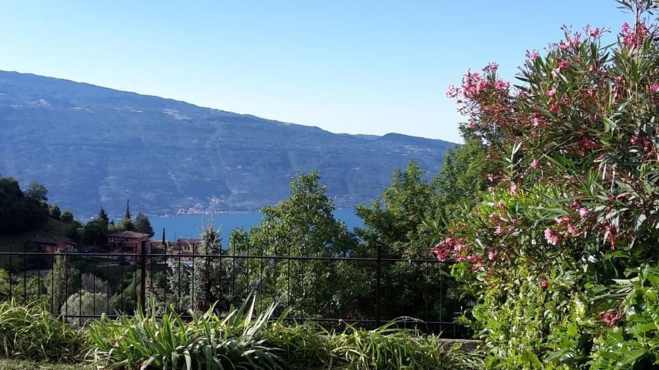Photo of Outdoor in Aer