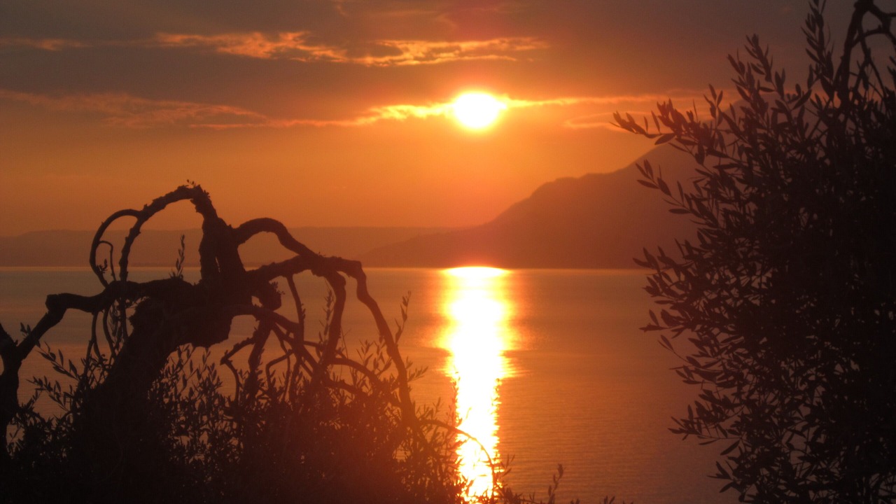 Photo of Others in Magugnago