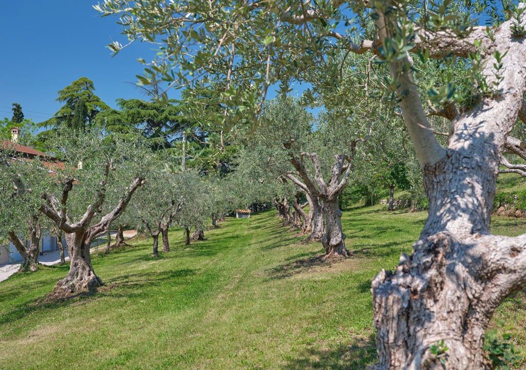 Photo of Outdoor in Rivoli Veronese