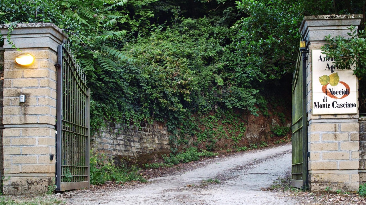 Photo of Outdoor in Capranica