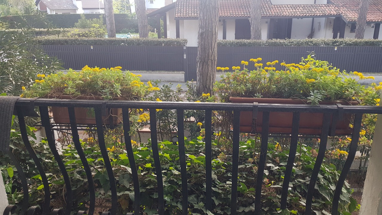Photo of Outdoor in Lido di Spina