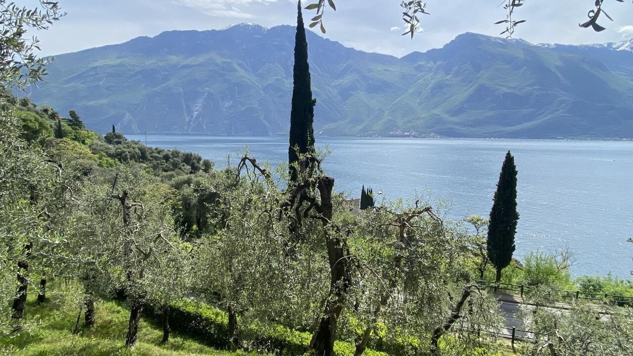 Photo of Others in Limone sul Garda