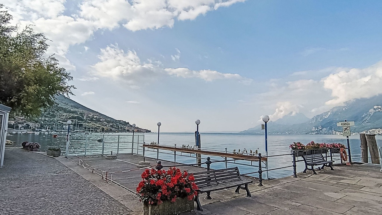 Photo of Others in Assenza