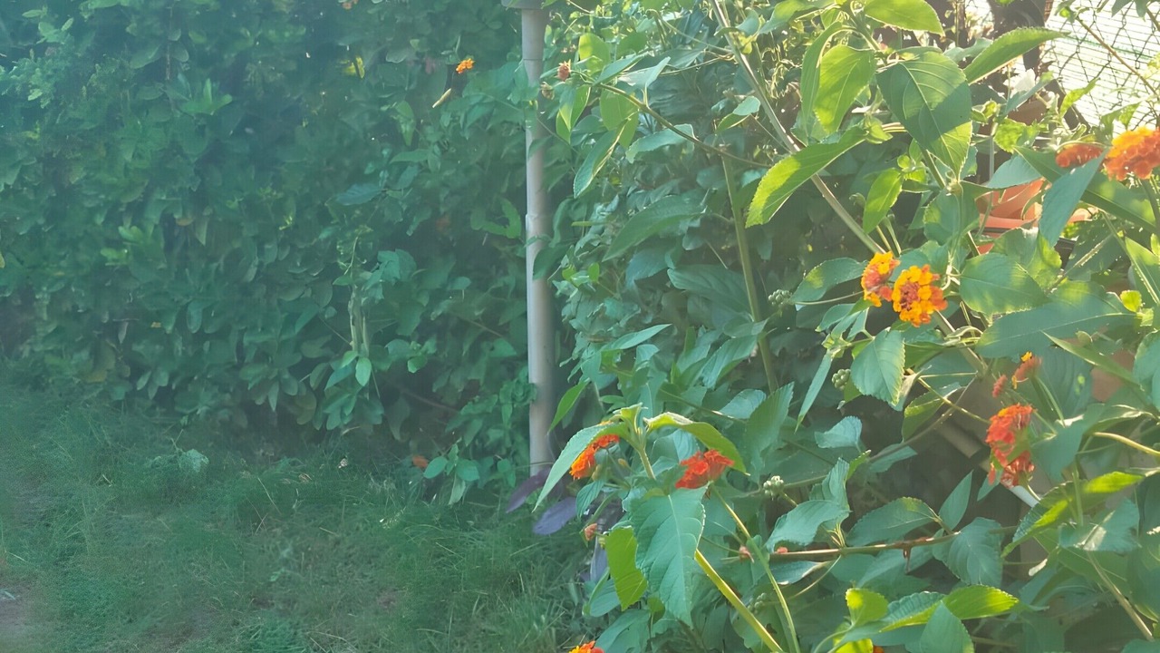Photo of Outdoor in Latina Lido
