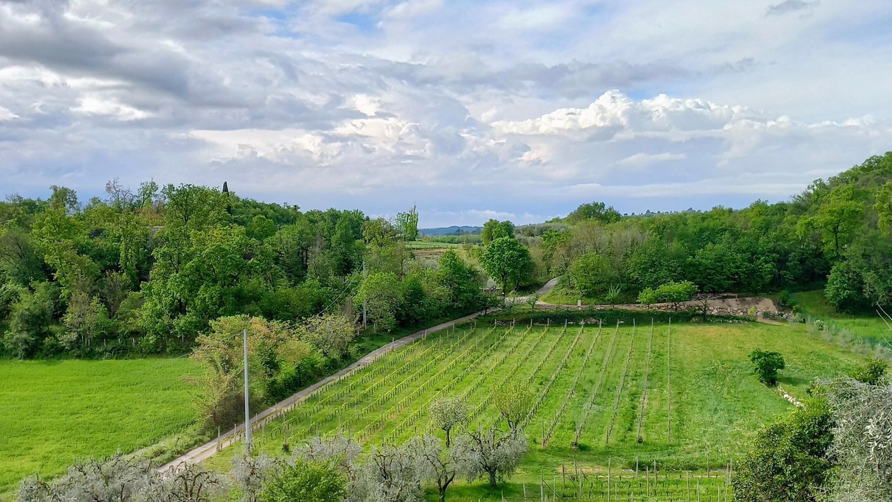 Photo of Others in Polpenazze del Garda