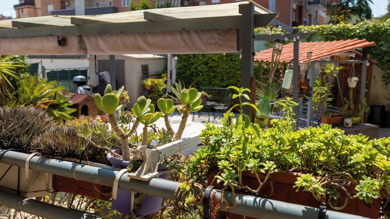 Photo of Outdoor in Quartiere XXIII Alessandrino