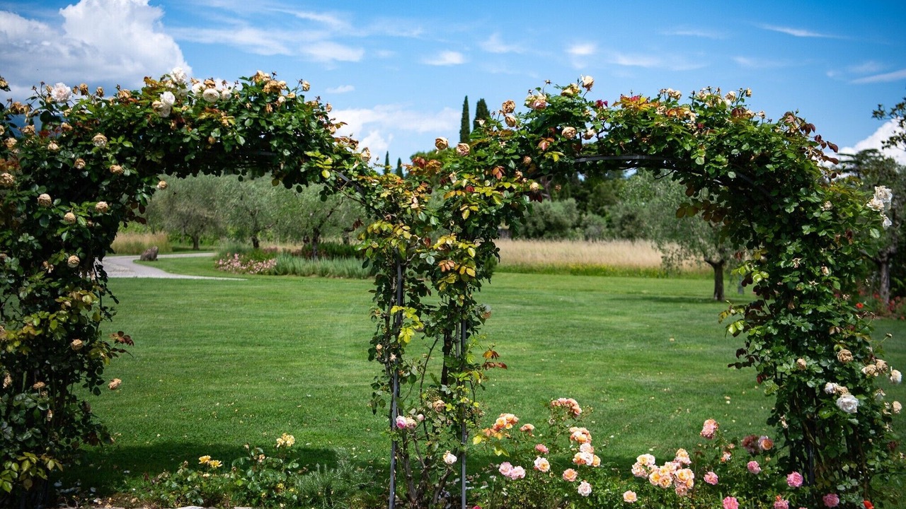 Photo of Outdoor in Puegnago del Garda