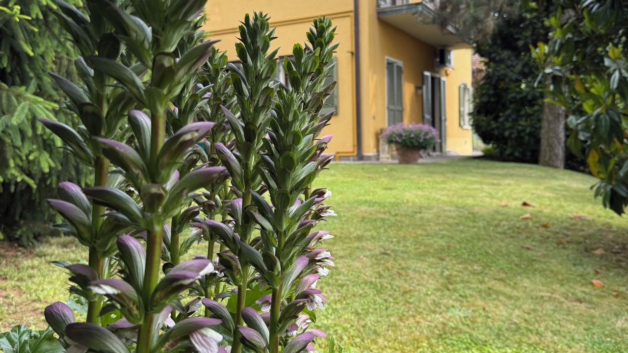 Photo of Outdoor in Ome