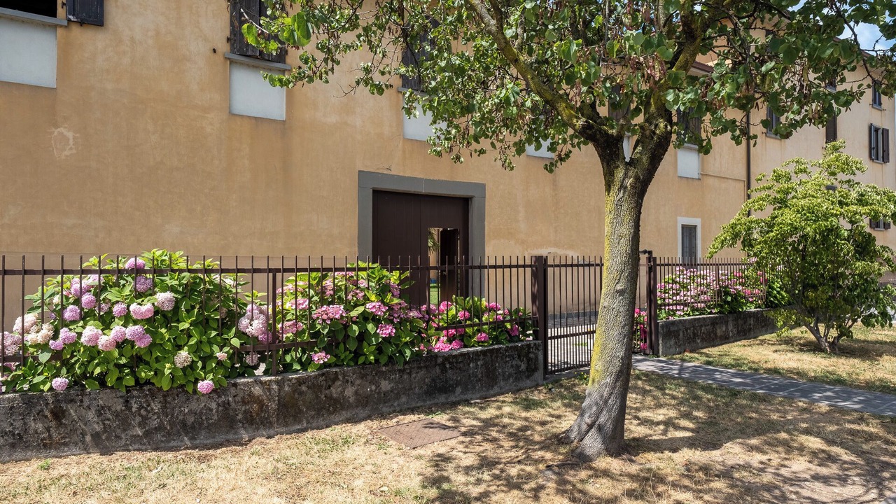 Photo of Outdoor in Paratico