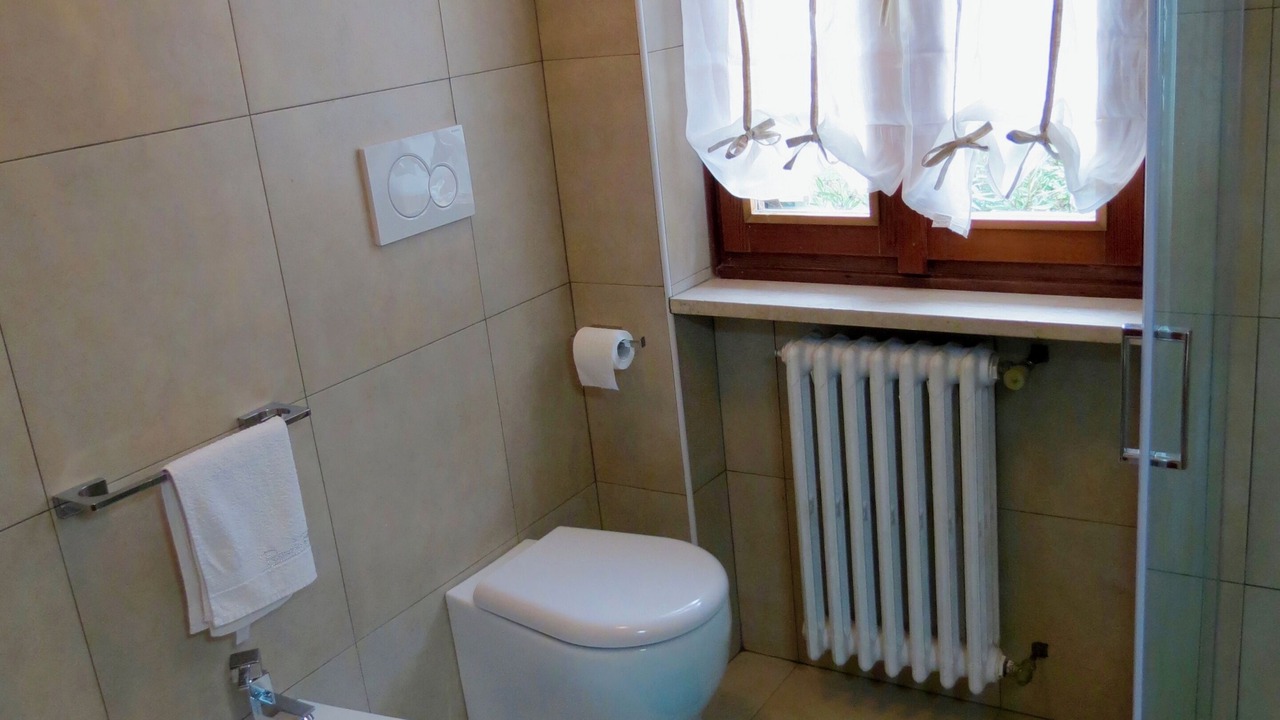 Photo of Bathroom in Predore