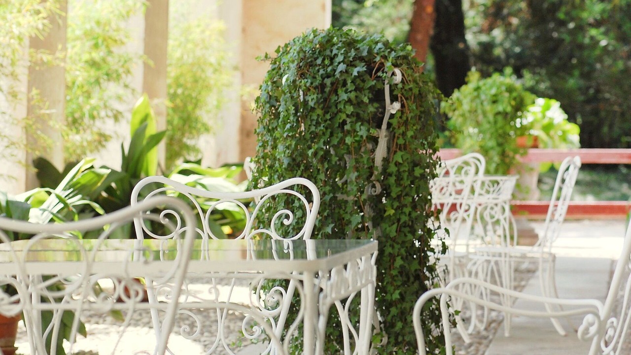 Photo of Outdoor in Piombino Dese