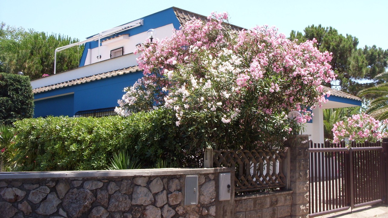 Photo of Outdoor in Latina Lido