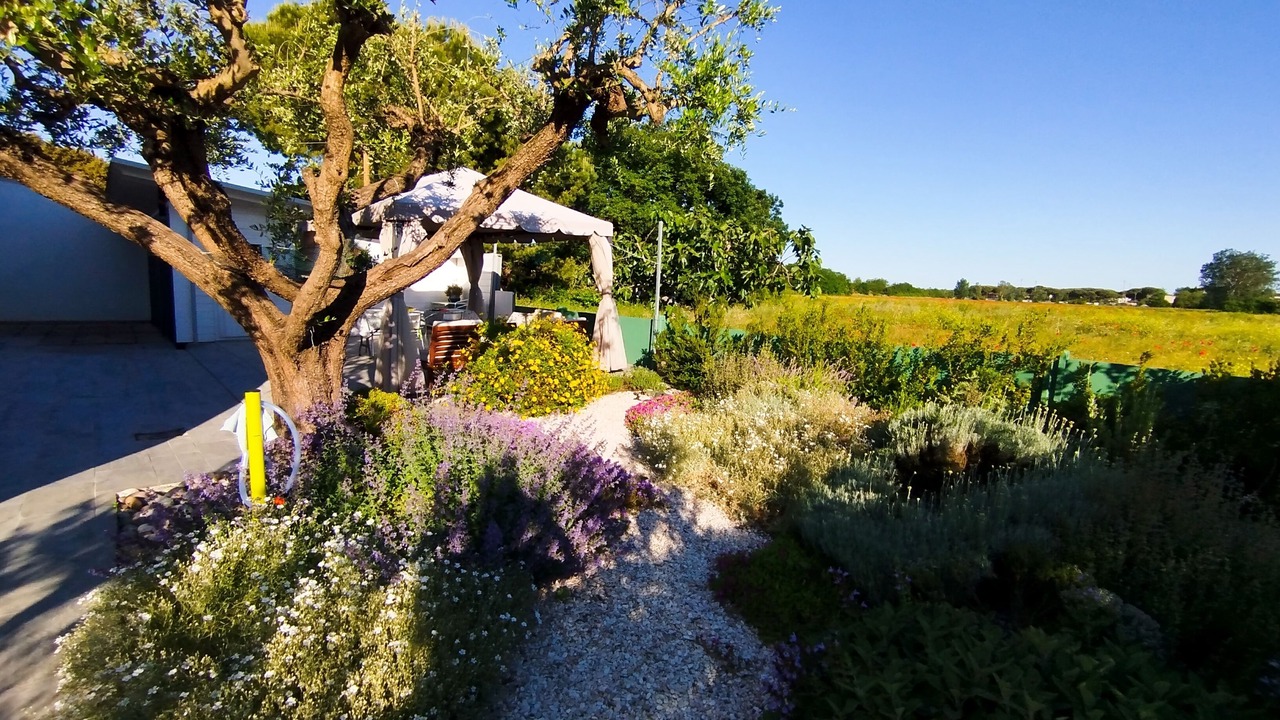 Photo of Outdoor in Savio
