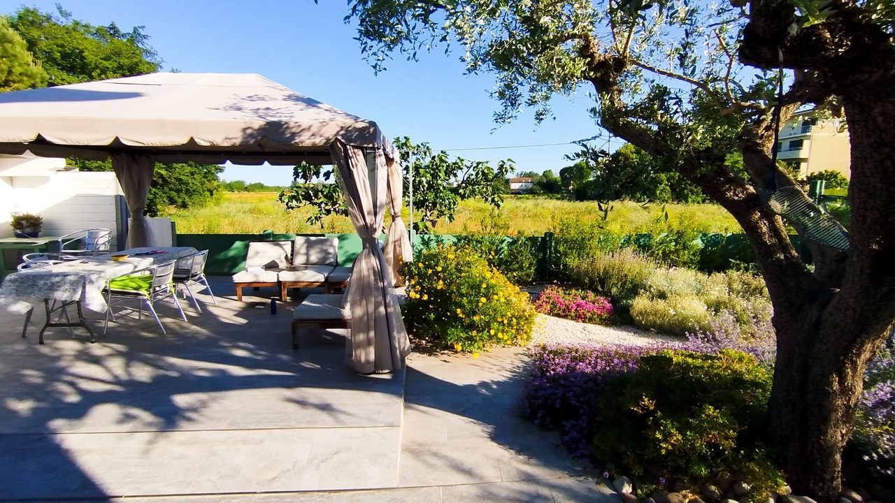 Photo of Outdoor in Savio