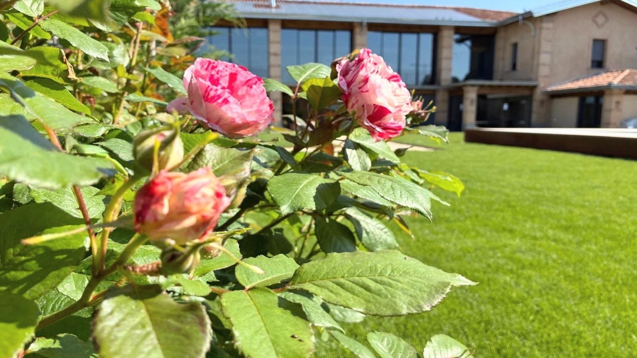 Photo of Outdoor in Adro