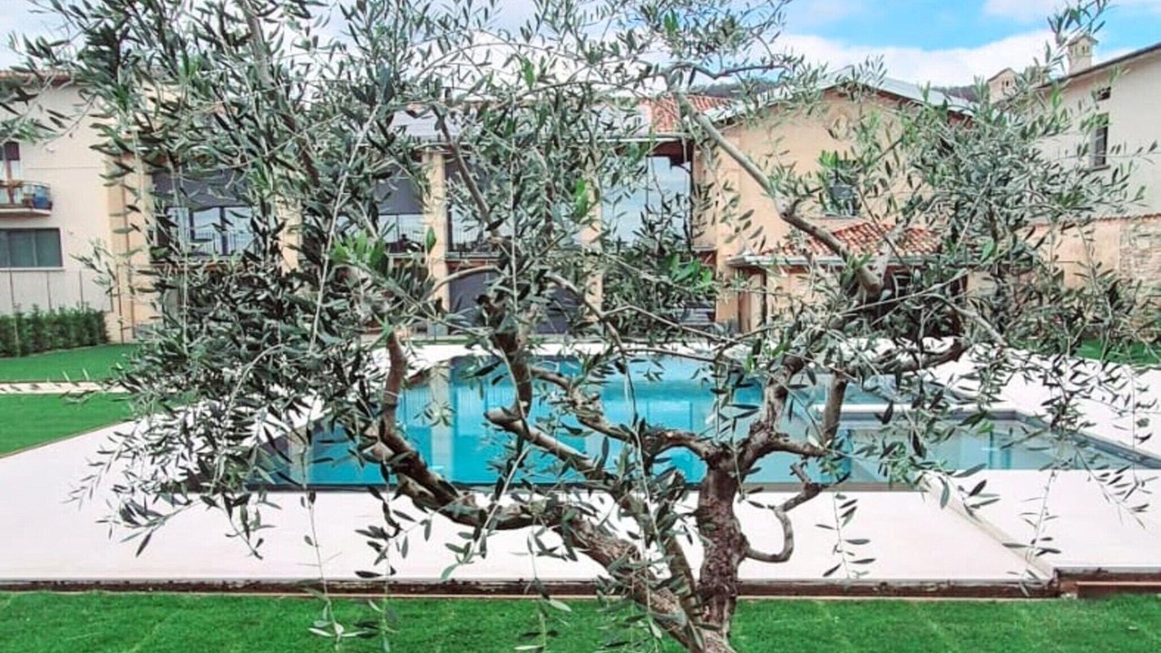 Photo of Outdoor in Adro