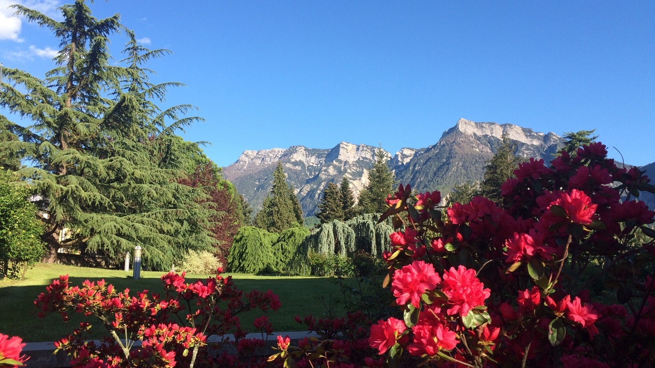 Photo of Outdoor in Levico Terme