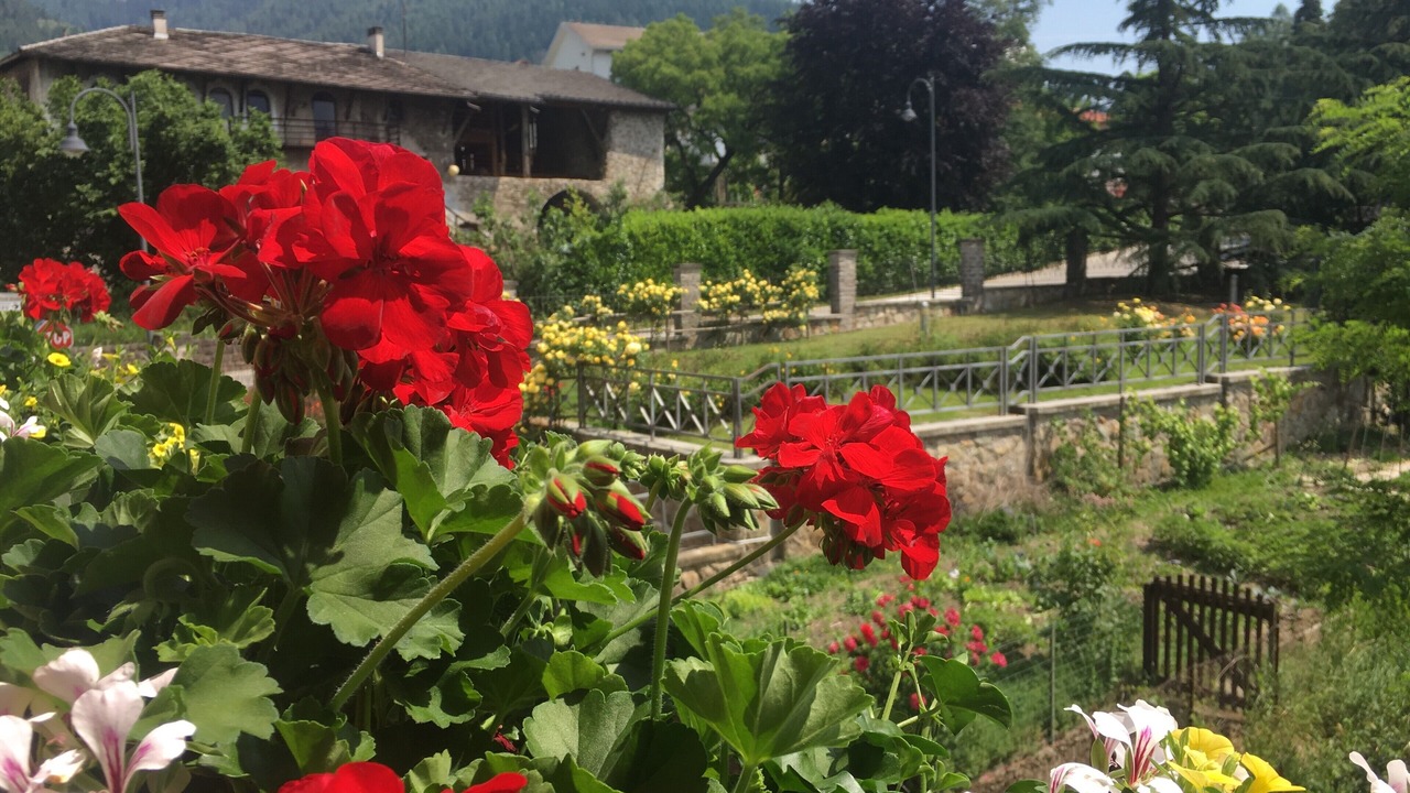 Photo of Outdoor in Levico Terme