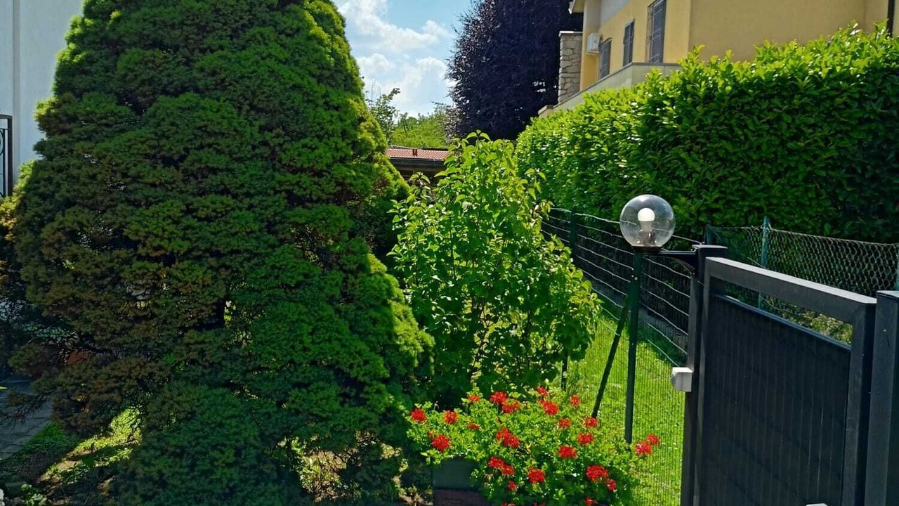 Photo of Outdoor in Albate