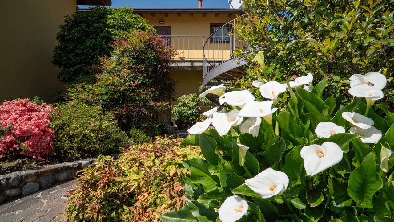 Photo of Outdoor in Somma Lombardo