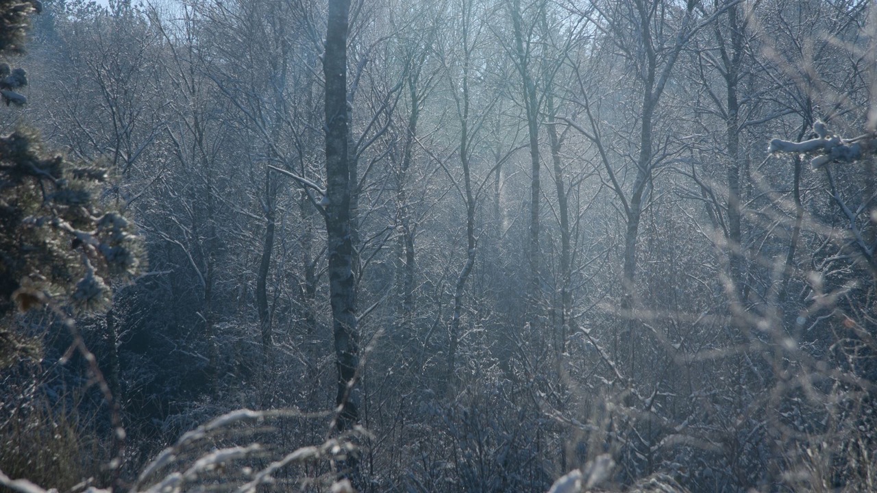 Photo of Others in Somma Lombardo