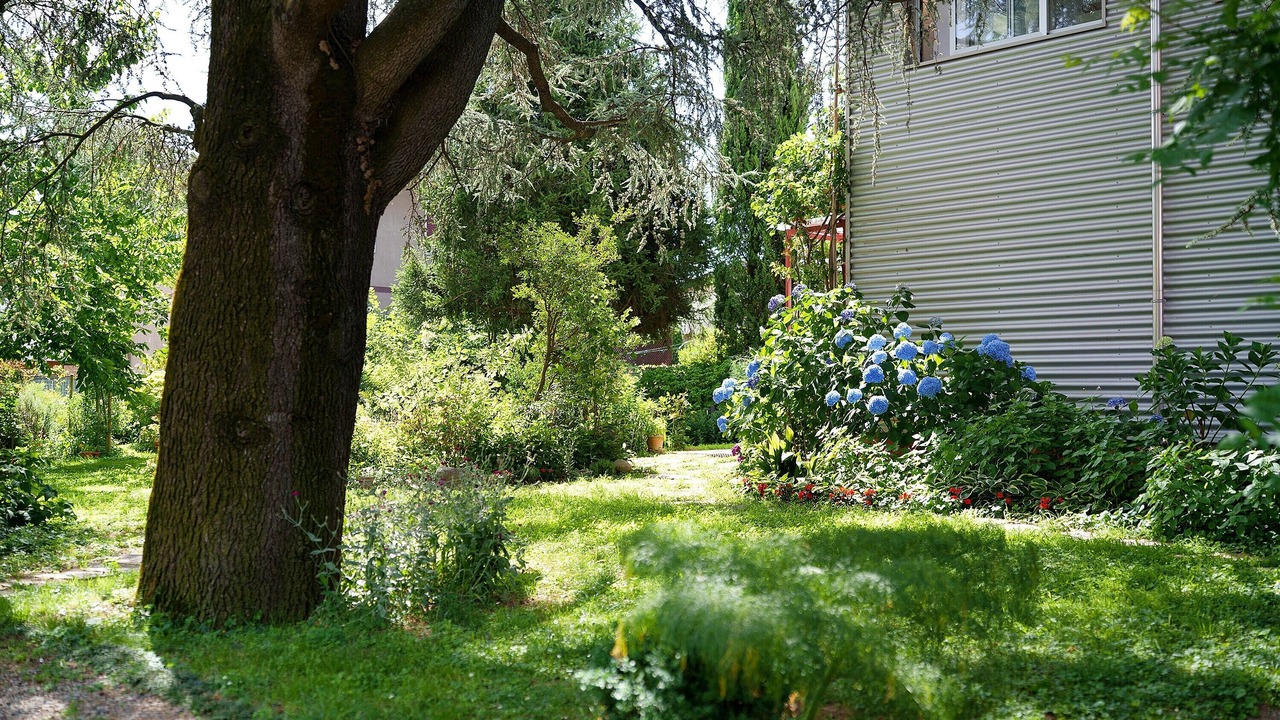 Photo of Outdoor in Cardano al Campo
