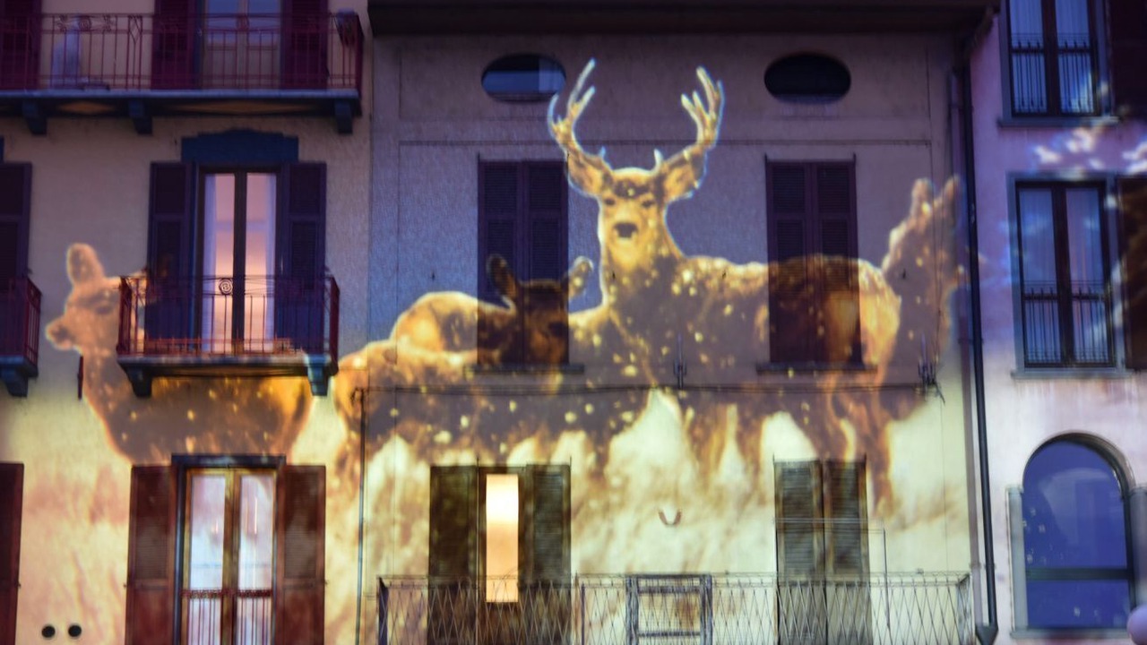 Photo of Outdoor in Lovere Old Town