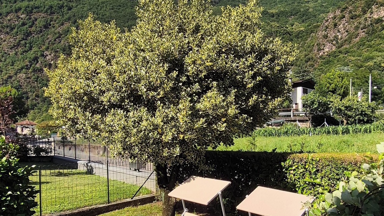 Photo of Outdoor in Prata Camportaccio