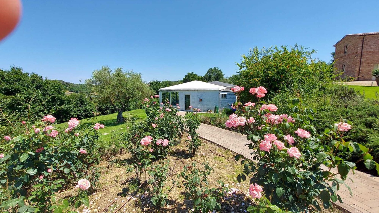 Photo of Outdoor in Foiano della Chiana