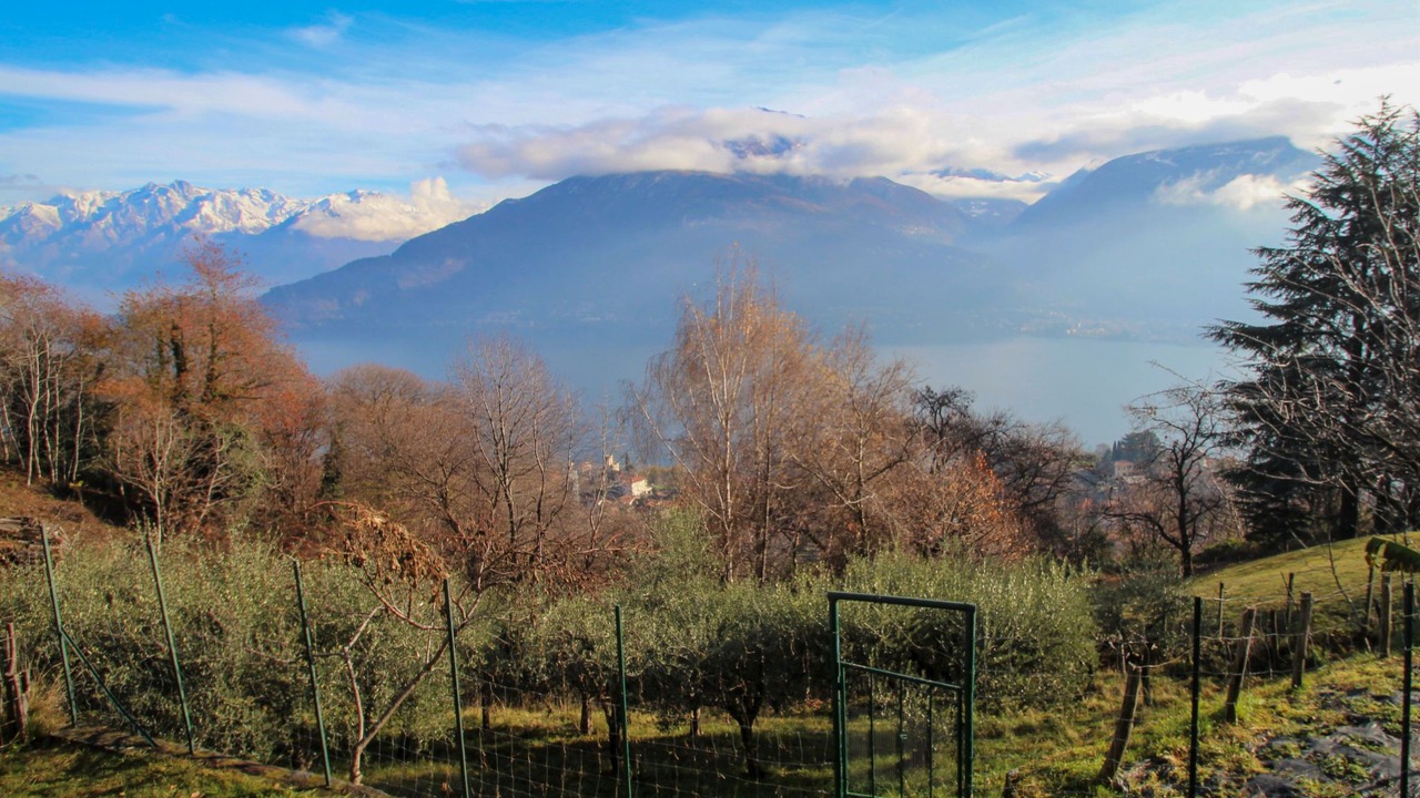 Photo of Others in Vignola