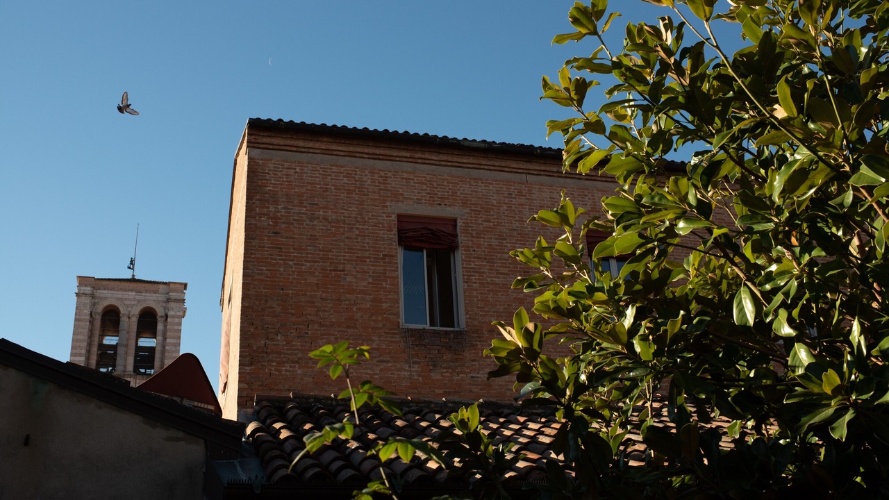 Photo of Others in Ferrara Historic Centre
